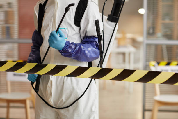 Professional Sewage Cleanup technician working in Roanoke, IL