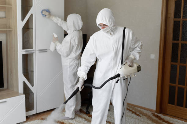 24/7 Emergency Sewage Cleanup experts in Roanoke, IL